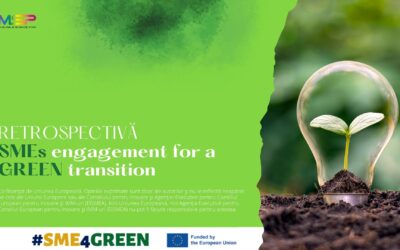 RETROSPECTION- SMEs engagement for a green transition